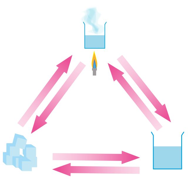 Solids, Liquids, and Gases Quiz For Kids DK Find Out