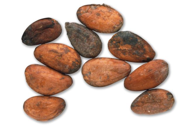 How Did The Aztecs Make Chocolate Out Of Cocoa Beans How Did The Aztecs Make Chocolate Out Of Cocoa Beans