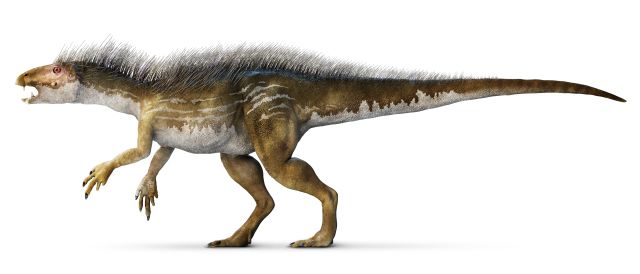 Dinosaurs Facts and Pictures