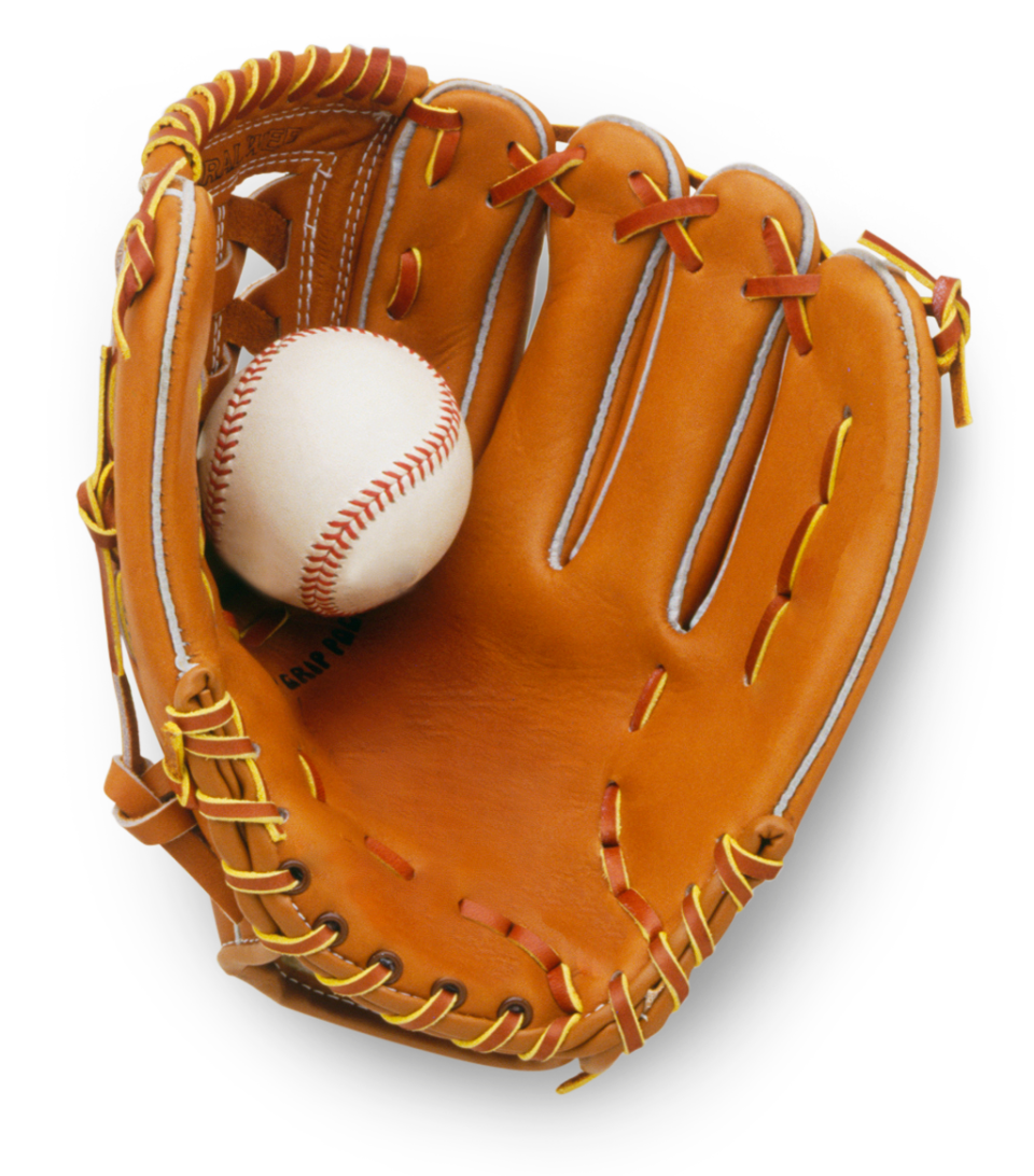 Baseball Glove Facts