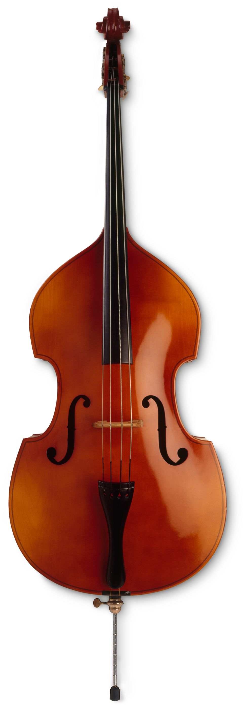 stringed bass instruments