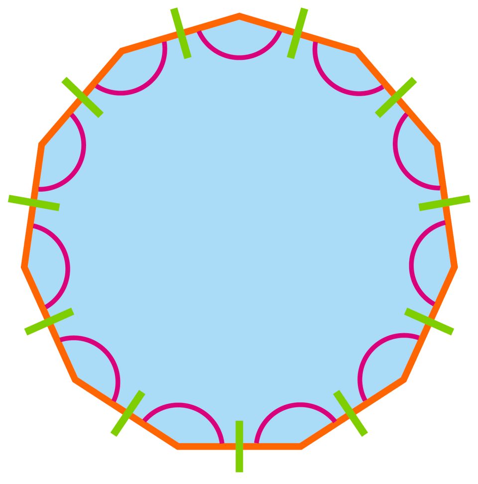 What Is A Polygon | Polygon Shapes | DK Find Out