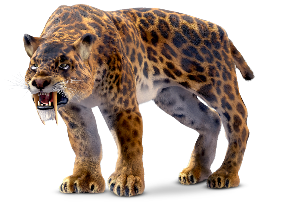 Prehistoric Mammals | Ancient Mammals | DK Find Out