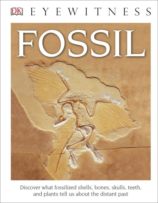 DK Eyewitness Books: Fossil Hardback cover of DK Eyewitness Books: Fossil