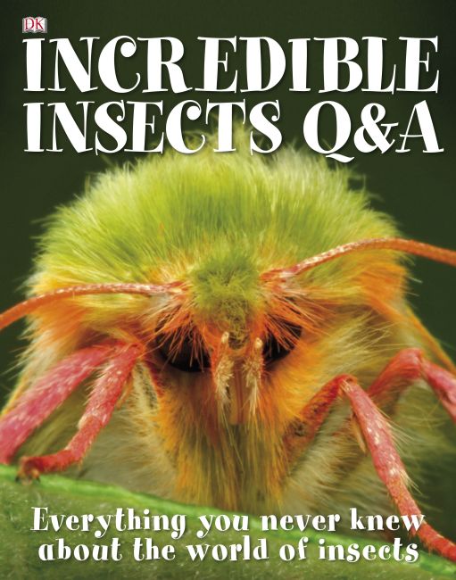 Incredible Insects Q & A eBook cover of Incredible Insects Q & A