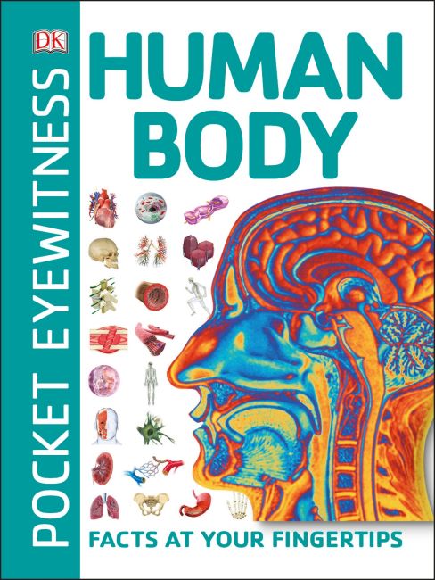 Pocket Eyewitness Human Body Paperback cover of Pocket Eyewitness Human Body