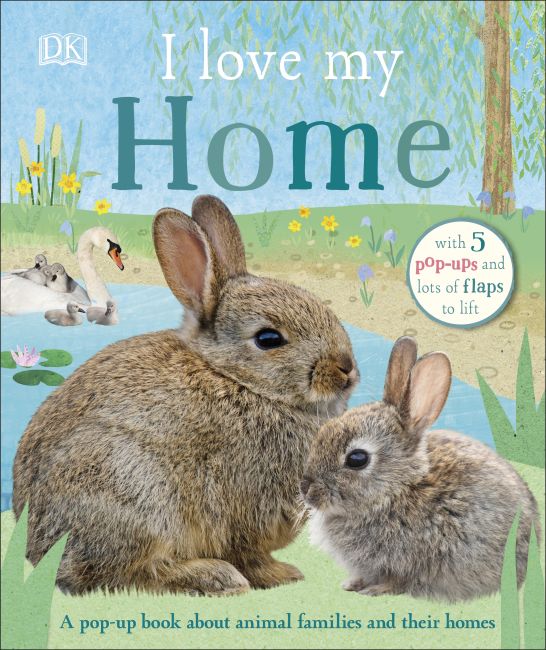 I Love My Home Board book cover of I Love My Home