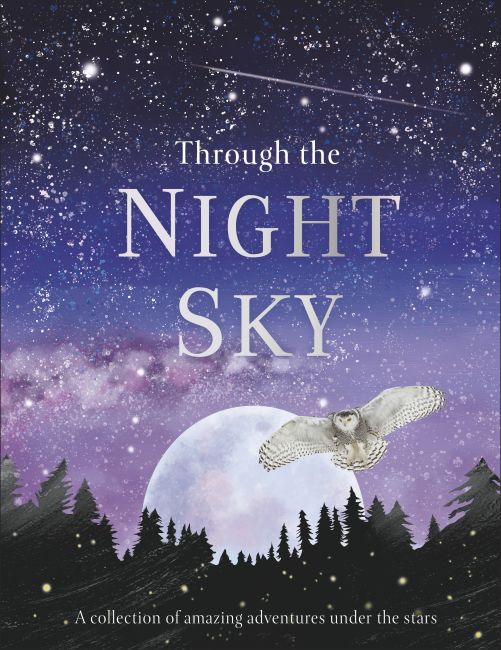 Through the Night Sky Hardback cover of Through the Night Sky