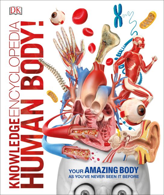 Knowledge Encyclopedia Human Body! Hardback cover of Knowledge Encyclopedia Human Body!