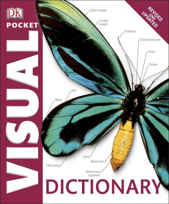 Pocket Visual Dictionary Paperback cover of Pocket Visual Dictionary