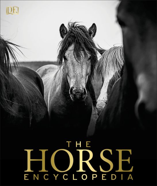 The Horse Encyclopedia Hardback cover of The Horse Encyclopedia