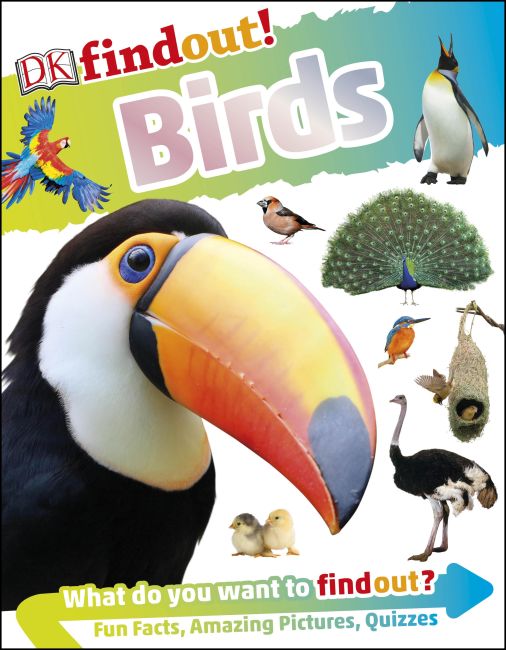DKfindout! Birds Flexibound cover of DKfindout! Birds