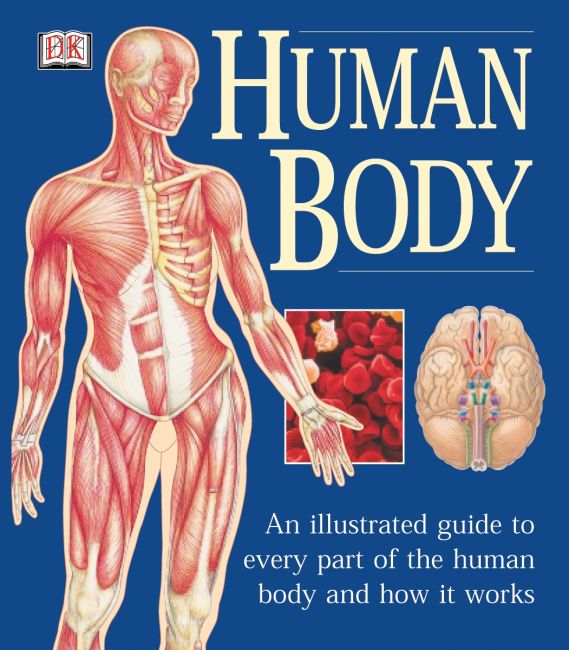 The Human Body Paperback cover of The Human Body