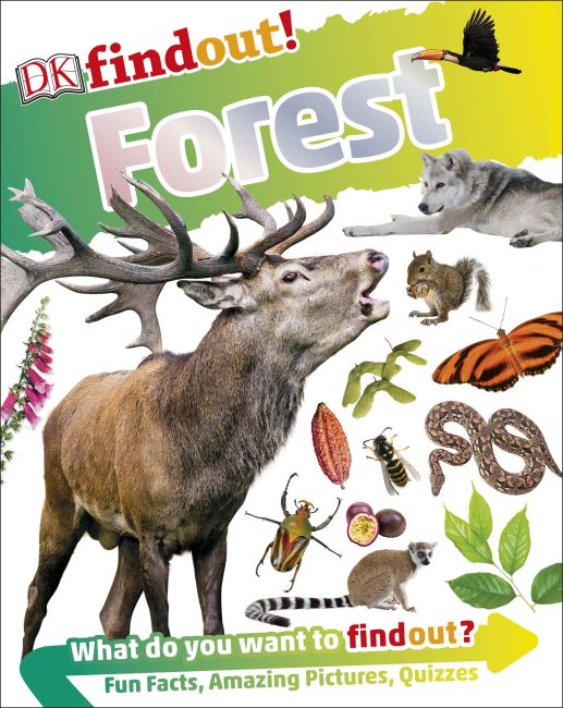 DKfindout! Forest Flexibound cover of DKfindout! Forest