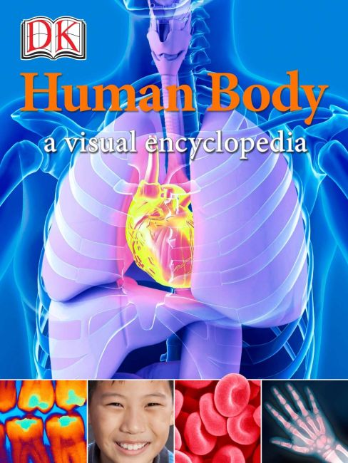 Human Body: A Visual Encyclopedia eBook cover of Human Body: A Visual Encyclopedia