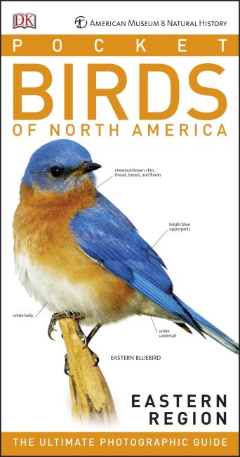 American Museum of Natural History: Pocket Birds of North America, Eastern Region Paperback cover of American Museum of Natural History: Pocket Birds of North America, Eastern Region