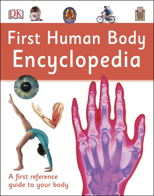 First Human Body Encyclopedia Hardback cover of First Human Body Encyclopedia