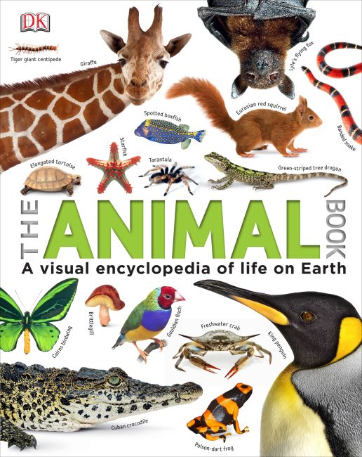 The Animal Book Hardback cover of The Animal Book