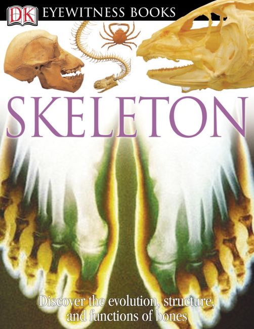 DK Eyewitness Books: Skeleton Hardback cover of DK Eyewitness Books: Skeleton