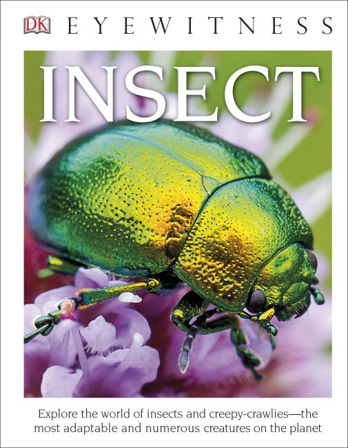 DK Eyewitness Books: Insect Hardback cover of DK Eyewitness Books: Insect