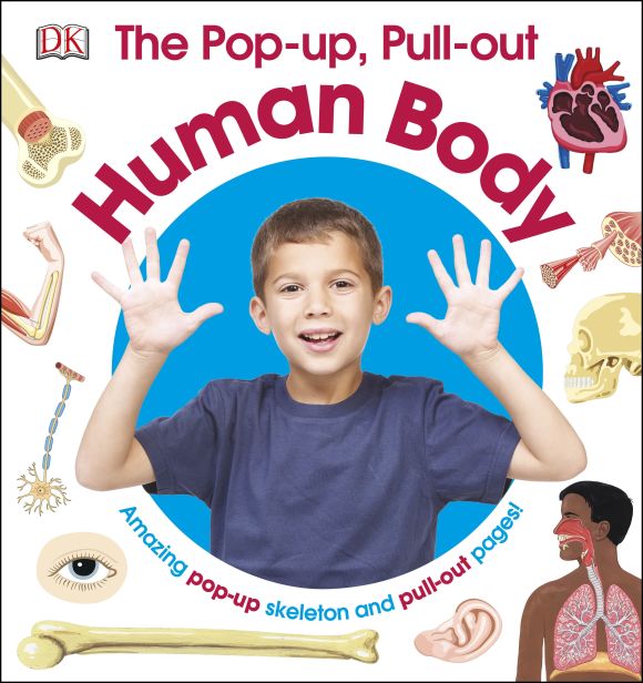 The Pop-up, Pull-out Human Body Hardback cover of The Pop-up, Pull-out Human Body