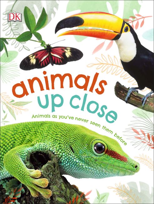 Animals Up Close Hardback cover of Animals Up Close