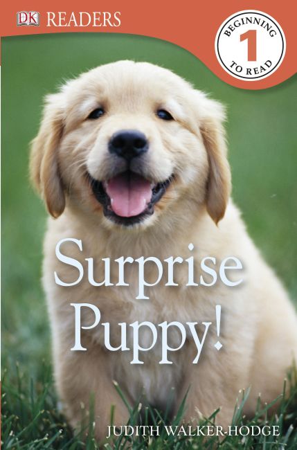 DK Readers L1: Surprise Puppy Paperback cover of DK Readers L1: Surprise Puppy