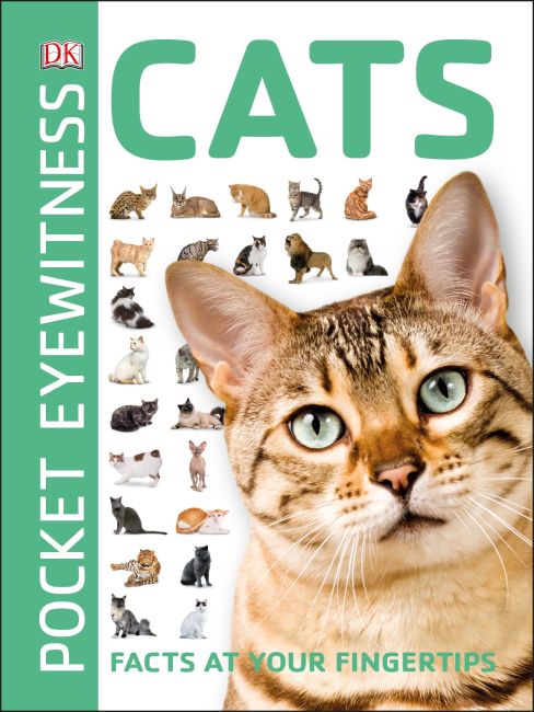 Cats Paperback cover of Cats