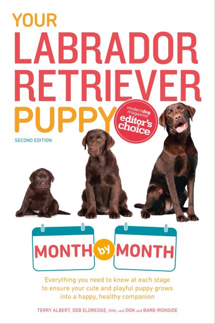 Your Labrador Retriever Puppy Month by Month, 2nd Edition Paperback cover of Your Labrador Retriever Puppy Month by Month, 2nd Edition