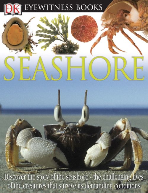 DK Eyewitness Books: Seashore Hardback cover of DK Eyewitness Books: Seashore