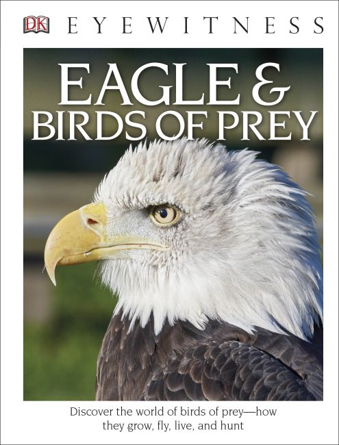 DK Eyewitness Books: Eagle and Birds of Prey Hardback cover of DK Eyewitness Books: Eagle and Birds of Prey