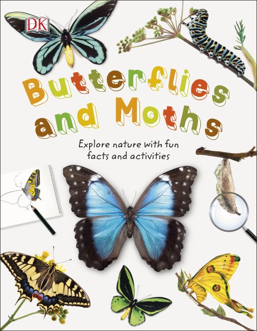 Butterflies and Moths Hardback cover of Butterflies and Moths