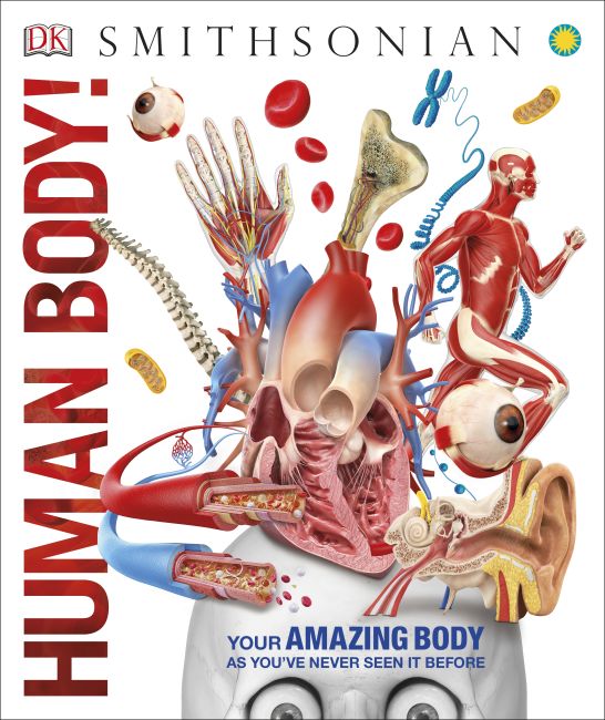 Human Body! Hardback cover of Human Body!