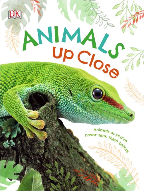 Animals Up Close Hardback cover of Animals Up Close