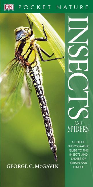Insects eBook cover of Insects