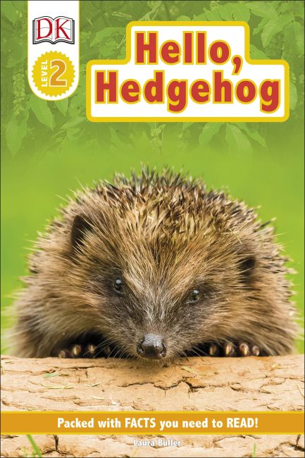 Hello Hedgehog Hardback cover of Hello Hedgehog