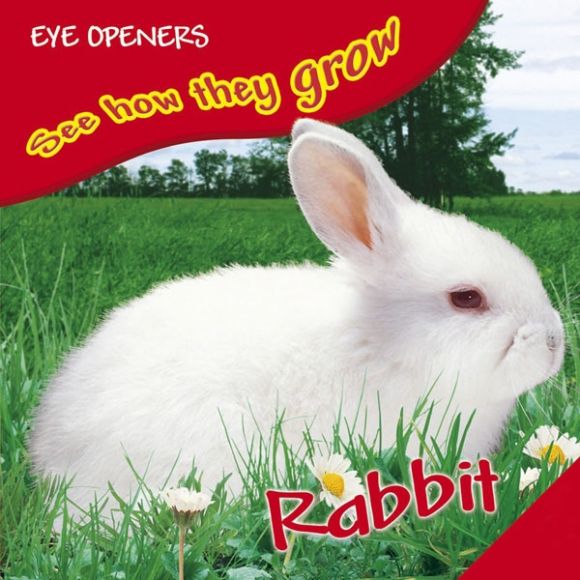 Bunny eBook cover of Bunny