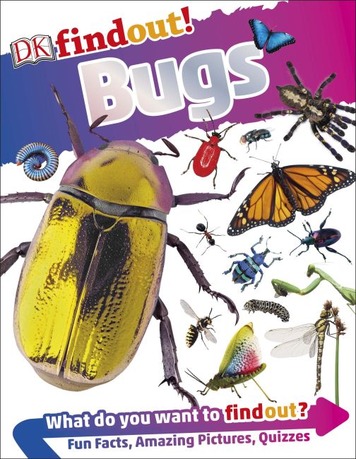 DKfindout! Bugs Flexibound cover of DKfindout! Bugs