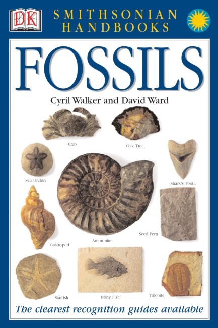 Handbooks: Fossils Flexibound cover of Handbooks: Fossils