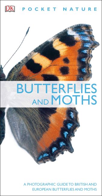 Butterflies and Moths Paperback cover of Butterflies and Moths