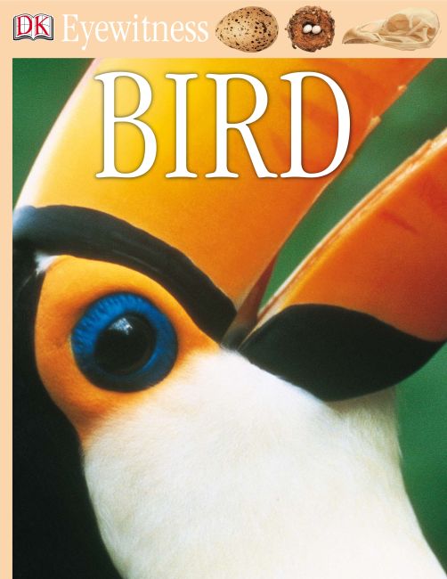 Bird eBook cover of Bird