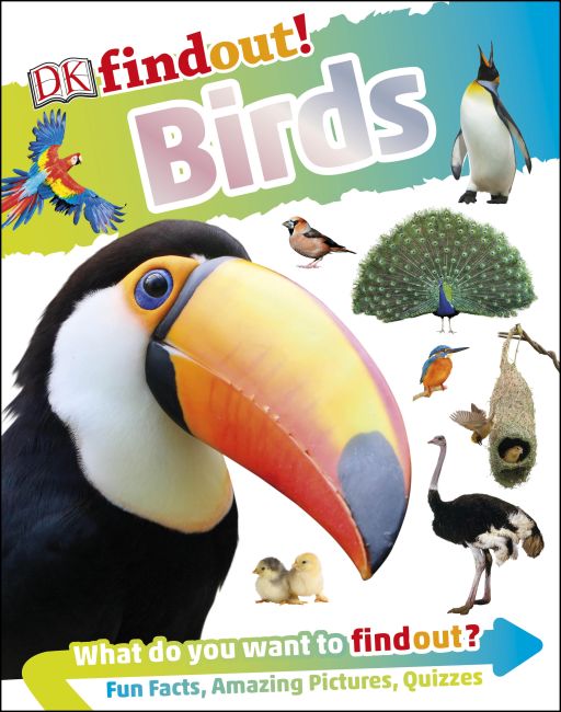 DKfindout! Birds Hardback cover of DKfindout! Birds
