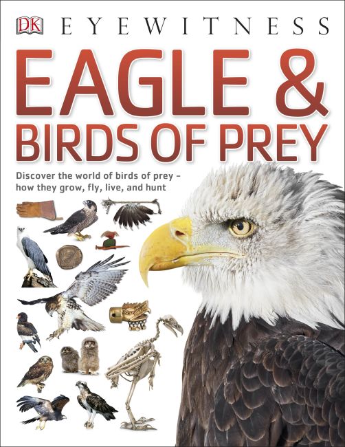 Eagle & Birds of Prey Paperback cover of Eagle & Birds of Prey