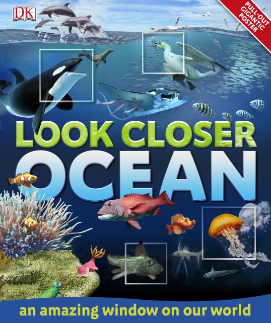 Look Closer: Ocean eBook cover of Look Closer: Ocean