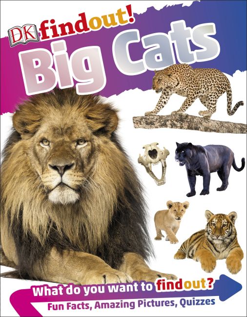 DKfindout! Big Cats Flexibound cover of DKfindout! Big Cats