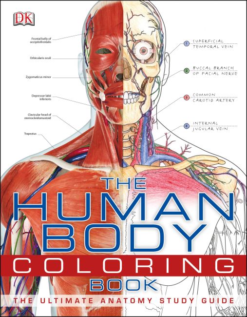 The Human Body Coloring Book Flexibound cover of The Human Body Coloring Book