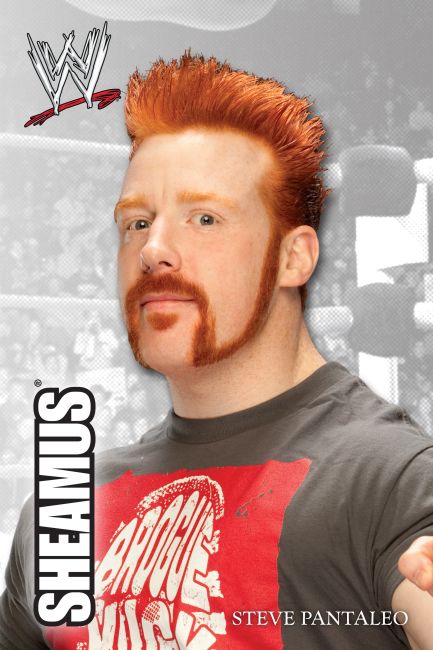DK Reader Level 2: WWE Sheamus eBook cover of DK Reader Level 2: WWE Sheamus