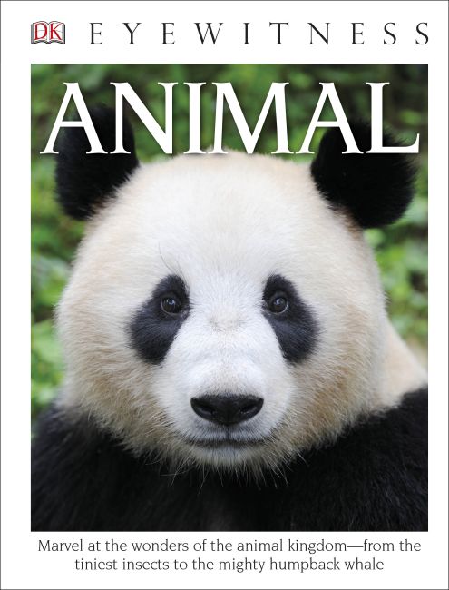 DK Eyewitness Books: Animal Hardback cover of DK Eyewitness Books: Animal