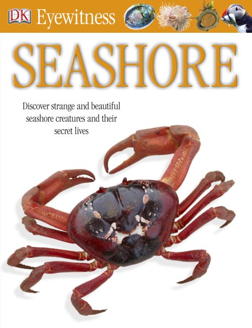Seashore eBook cover of Seashore