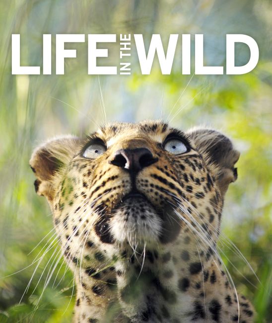 Life In The Wild eBook cover of Life In The Wild